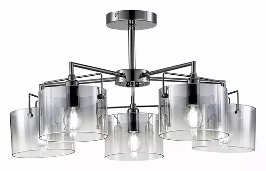 Люстра на штанге EVOLUCE Nosta SLE155602-05