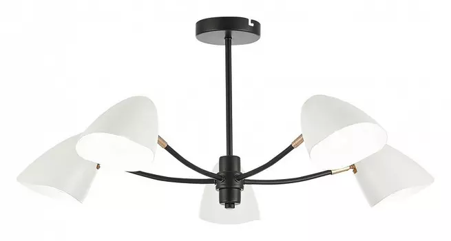 Люстра на штанге EVOLUCE Satta SLE103602-05