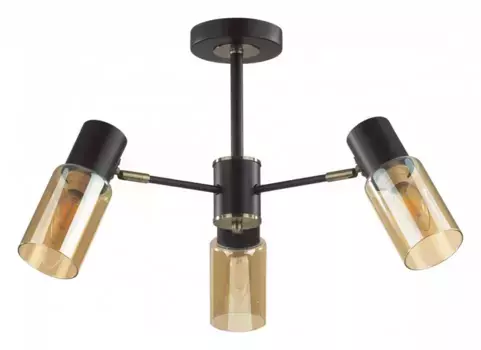 Люстра на штанге Lumion Ronnie 5644/3C