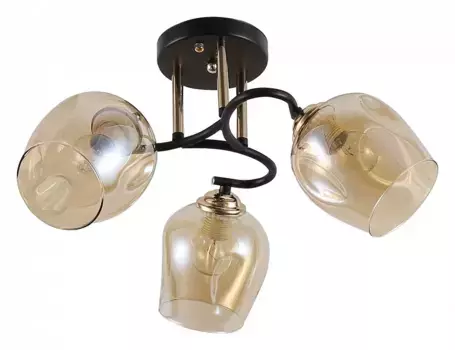 Люстра на штанге Rivoli Fernanda Б0054746