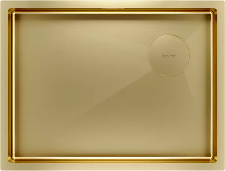 Мойка кухонная Paulmark Next-Skew PM885844-BG брашированное золото