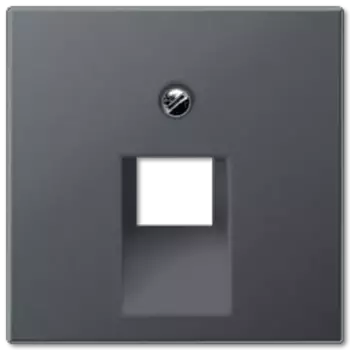 Накладка 1-ой наклонной ТЛФ/комп розетки Jung A569-1BFPLUAANM