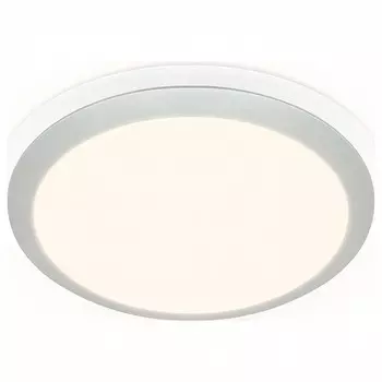 Накладной светильник Ambrella FF FF49