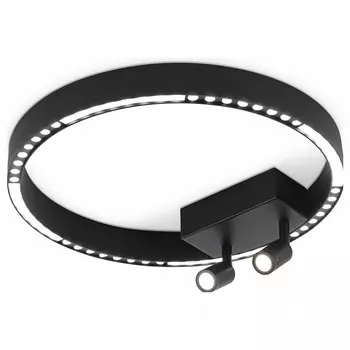 Накладной светильник Ambrella FL FL5806