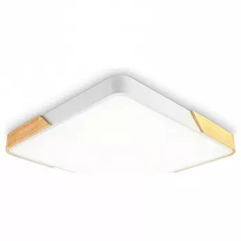 Накладной светильник Ambrella FZ FZ1312