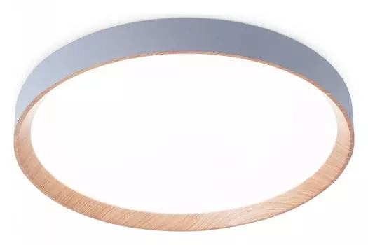 Накладной светильник Ambrella FZ FZ1322