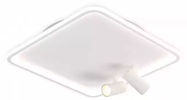 Накладной светильник Ambrella Light FL FL5114