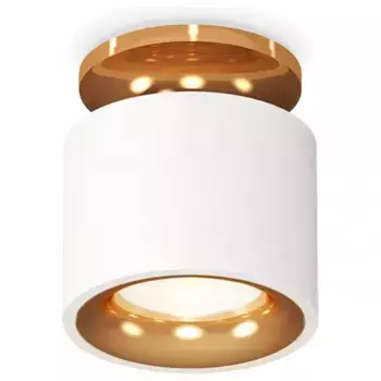 Накладной светильник Ambrella Light XS XS7510121