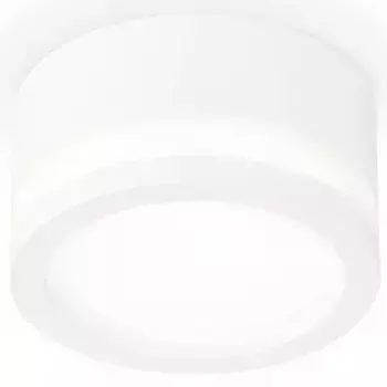 Накладной светильник Ambrella Light XS XS8101017