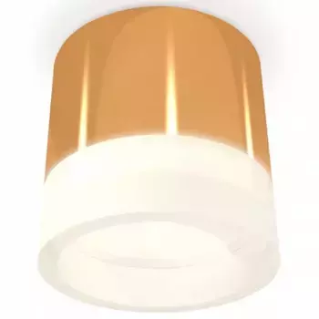 Накладной светильник Ambrella Light XS XS8121010