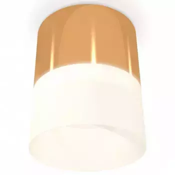 Накладной светильник Ambrella Light XS XS8121011