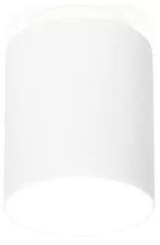 Накладной светильник Ambrella TN TN260