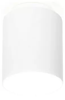 Накладной светильник Ambrella TN TN261