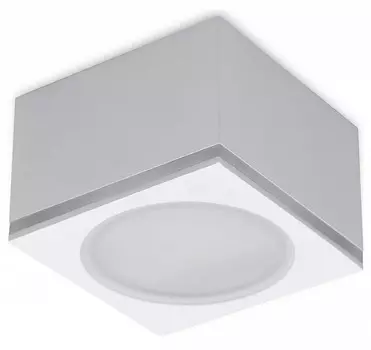 Накладной светильник Ambrella TN TN266