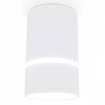 Накладной светильник Ambrella TN TN3411