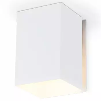 Накладной светильник Ambrella TN TN5111