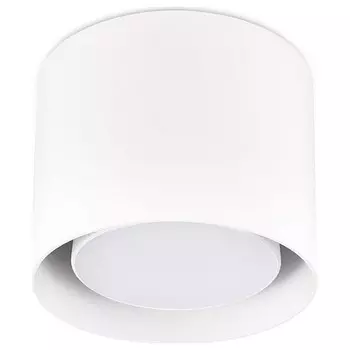 Накладной светильник Ambrella TN TN700