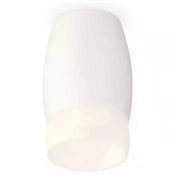 Накладной светильник Ambrella XS XS1122024