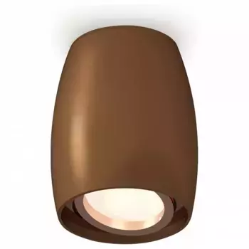 Накладной светильник Ambrella XS XS1124001