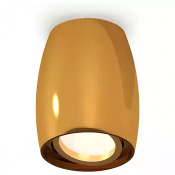 Накладной светильник Ambrella XS XS1125001