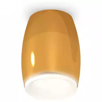 Накладной светильник Ambrella XS XS1125020