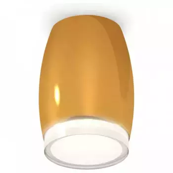 Накладной светильник Ambrella XS XS1125021