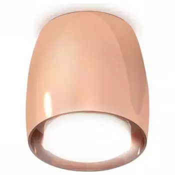 Накладной светильник Ambrella XS XS1144020