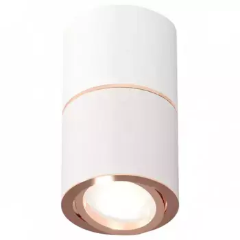 Накладной светильник Ambrella XS XS7401220