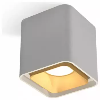 Накладной светильник Ambrella XS XS7840004