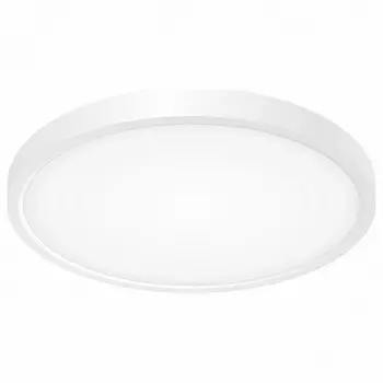 Накладной светильник Citilux Бейсик CL738240V