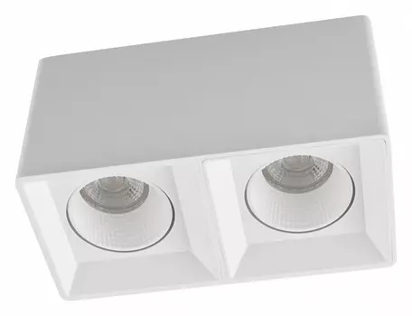 Накладной светильник Denkirs DK3020WW DK3085-WH