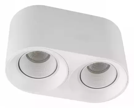 Накладной светильник Denkirs DK3020WW DK3096-WH