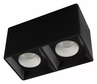 Накладной светильник Denkirs DK3085-BK+CH