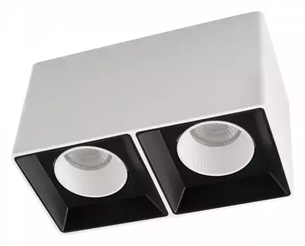 Накладной светильник Denkirs DK3085-WB+WH