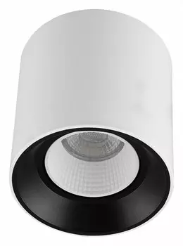 Накладной светильник Denkirs DK3090-WB+WH