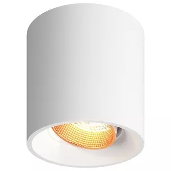 Накладной светильник Denkirs DK3090-WBR