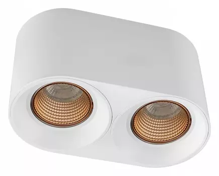 Накладной светильник Denkirs DK3096-WH+BR