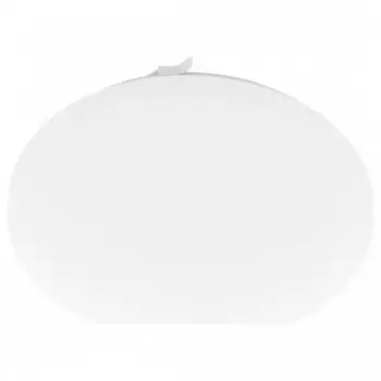 Накладной светильник Eglo ПРОМО Frania 97872