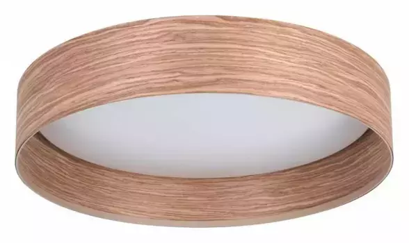 Накладной светильник Eglo ПРОМО Luppineria 900463