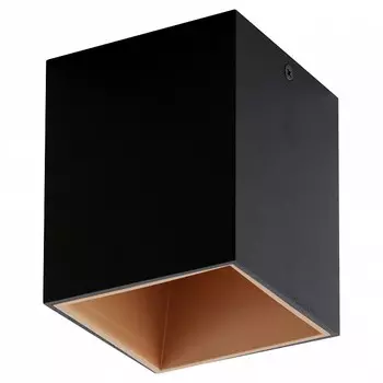 Накладной светильник Eglo ПРОМО Polasso 94496