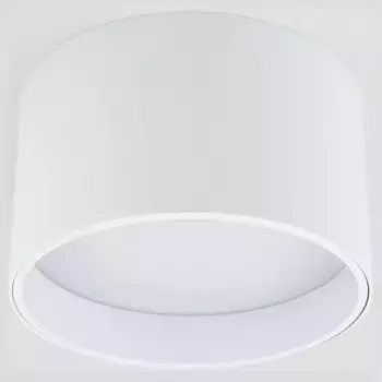 Накладной светильник Elektrostandard Banti a058846