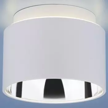 Накладной светильник Elektrostandard Charlie 1069 GX53