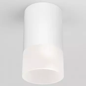 Накладной светильник Elektrostandard Light LED 35139/H белый