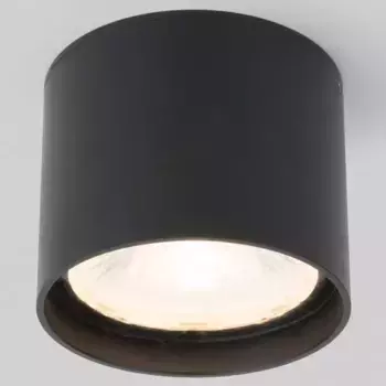 Накладной светильник Elektrostandard Light LED a056231