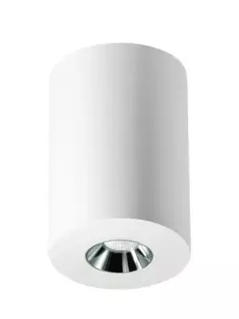 Накладной светильник Elvan NLS-210067-4.2W-WW-WhCh