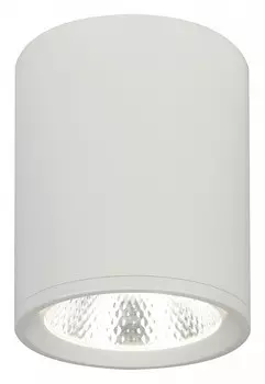 Накладной светильник Escada 20003 20003SMU/02LED SWH