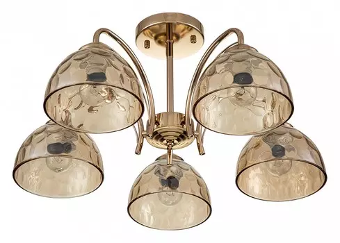 Накладной светильник Escada Mallow 665/5P