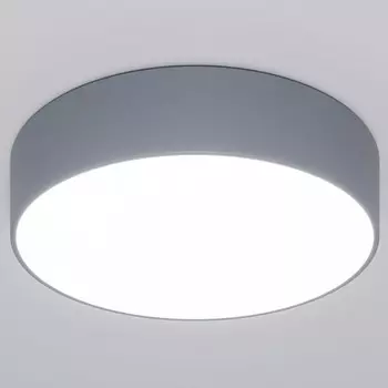 Накладной светильник Eurosvet Entire a062827