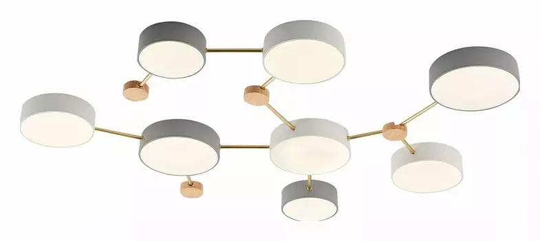 Накладной светильник EVOLUCE Dossena SLE600102-08