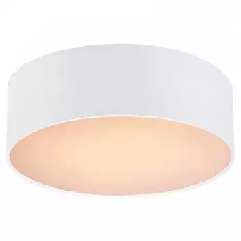 Накладной светильник Favourite Cerchi 1515-2C